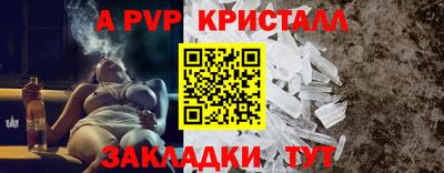 амф Гатчина