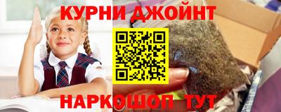 амф Гатчина