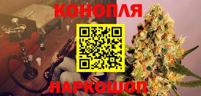 амф Гатчина