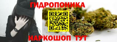 ГАЛЛЮЦИНОГЕННЫЕ ГРИБЫ Гай