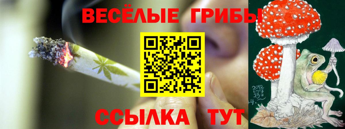 Галлюциногенные грибы ЛСД Чусовой